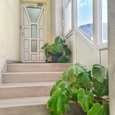 Aleksandra 2 13 Soko Banja