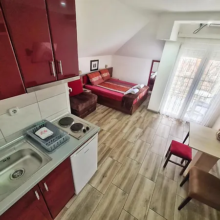 Aleksandra 2 13 Apartment *