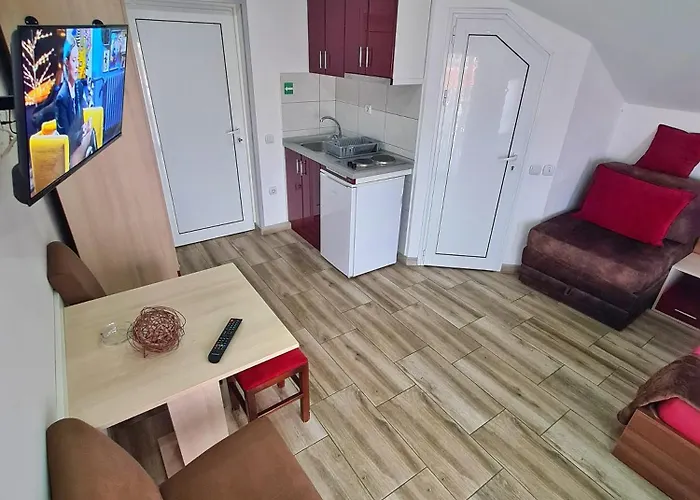 Aleksandra 2 13 Сокобаня