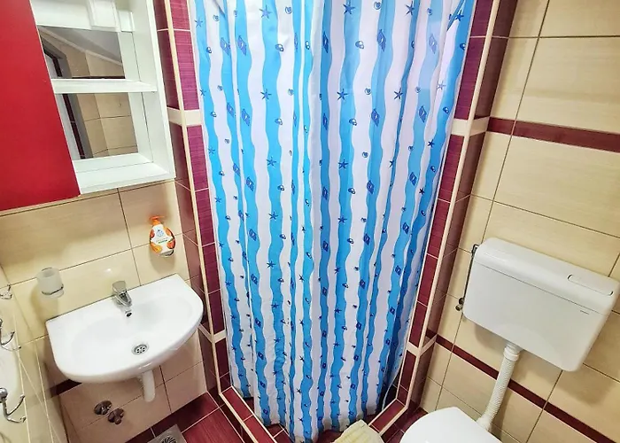 Aleksandra 2 13 * Сокобаня