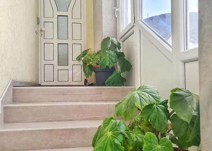 Aleksandra 2 13 Сокобаня