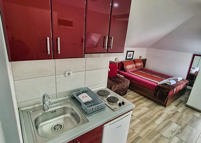 Aleksandra 2 13 Сокобаня